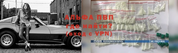 дживик Майский
