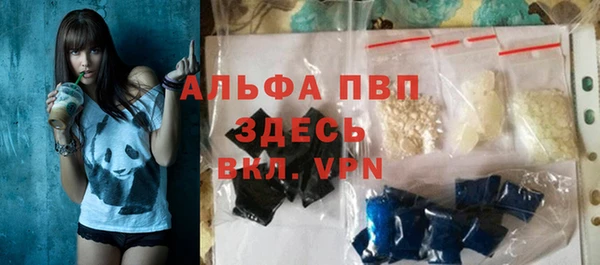 крисы Магас