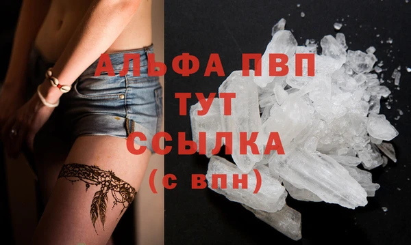 крисы Магас